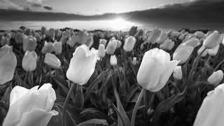 Brian McKnight,Tone-Hold Me (Trackmasters Remix Edit)