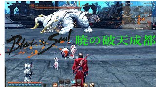 24ID 暁の破天成都 白蛙龍