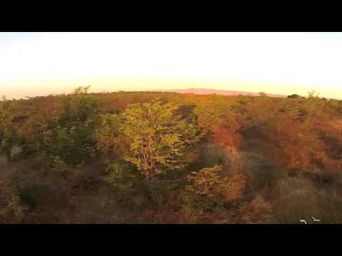 Musango Safari Camp