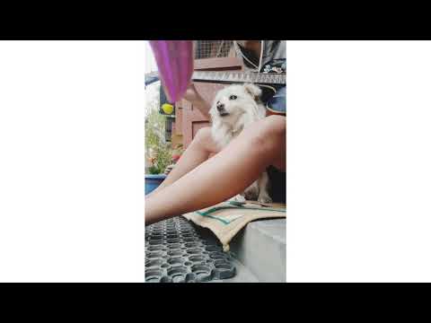 Escaping the world  #inshot