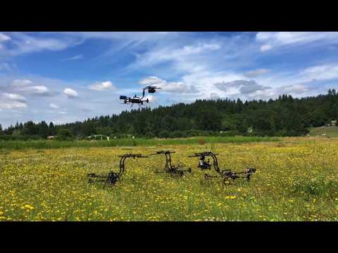 Weirdest Drone Ever - Mini Pony
