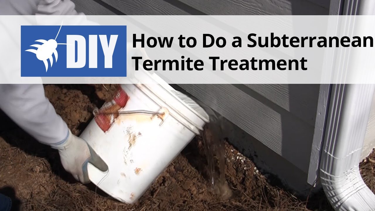 How To Do a Subterranean Termite Treatment