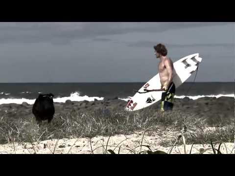 Laurie Towner's Crock Pot