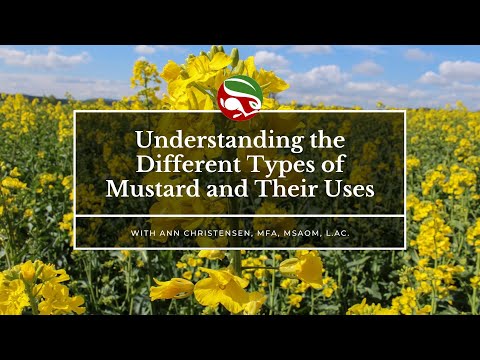 Understanding the Different Types of Mustard and Their Uses