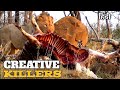 Lion Creative Killers डॉक्यूमेंट्री हिंदी Lion Documentary Wildl