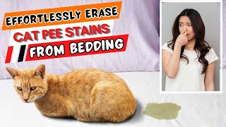 How To Get Cat Pee Stains Out Of Bedding - Expert Tips That Works Great