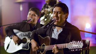Músico Poeta Y Loco (En Vivo) Lyrics English Translation