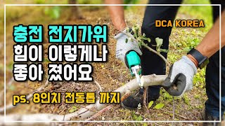 전동가위도 이제는 힘이 이렇게 좋네요 덤으로 요즘은 전동톱도 많이 써요