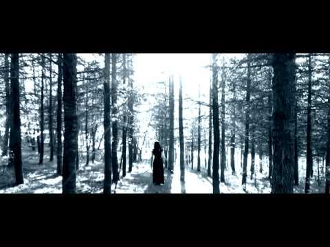 video frame placeholder