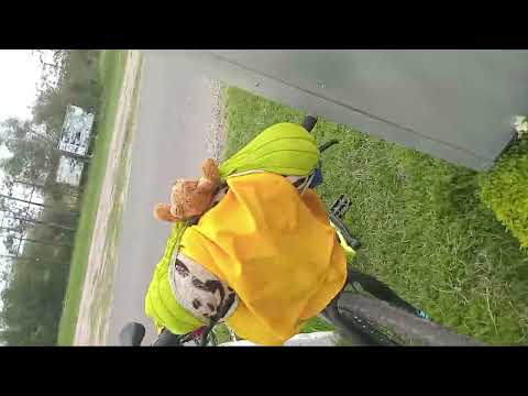 Dejando ita-ibate corrientes a próximos destinos 