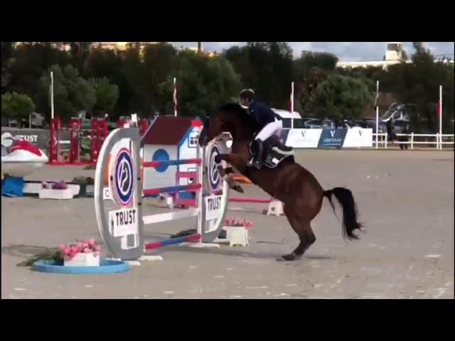 Mother of this Implanted Embryo is the CSI 1.50m jumping mare Kamilla ter Muyncken with rider Clarissa Crotta