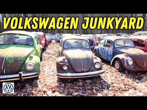 Thumbnail for FULL TOUR: VW Buses, Beetles & MORE! HUGE Volkswagen JUNKYARD! by Volkswagen, Car