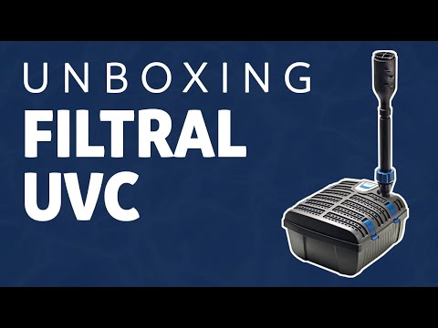 Unboxing the Oase Filtral UVC