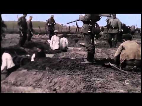 pourquoi la première guerre mondiale