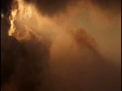 afbeelding Sleep Has Her House