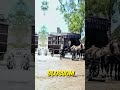 The Bizarre History Of the Worlds Oldest Caravan #viralshorts