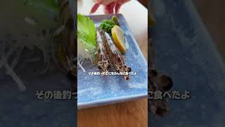 横動画の撮影で南知多に海鮮食べに行った日の1日Vlog