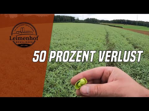 Kurz und bündig -  So entsteht dein Essen #206