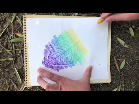 How to make a Leaf Rubbing with Crayons