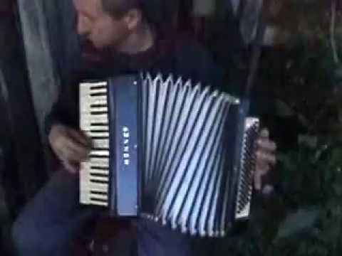 Petrecere in Albulesti 1