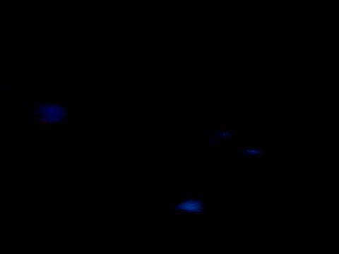 !Edu @ Eskulap, Poznan - MentalCut & Buszkers