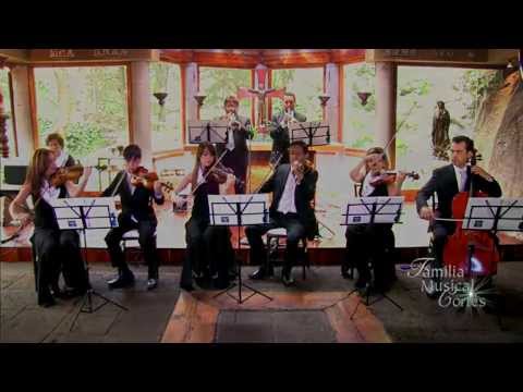 Fotografía de Videos Ceremonia Religiosa de Violines Familia Musical Cortes - 29823 