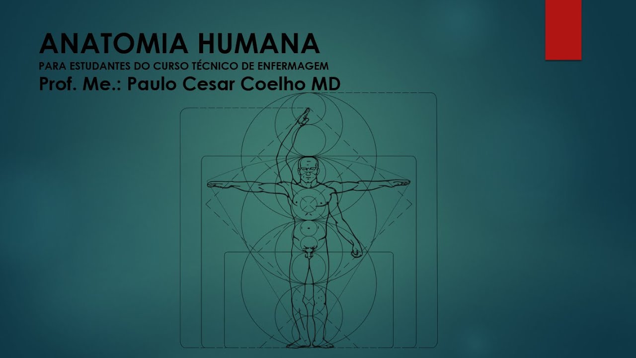 Anatomia Humana - Anatomia do Sistema Circulatório - Vídeo Aula 17 para Técnicos na Área de Saúde