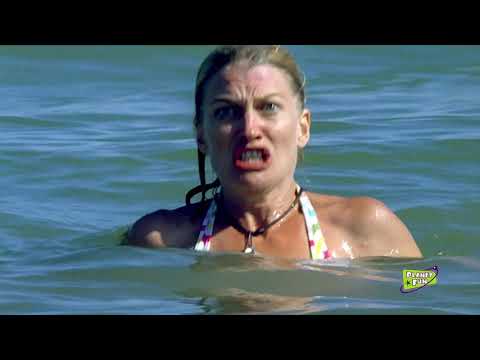 Articulate | New Zealand edition