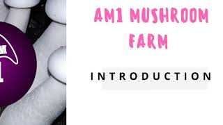 preview picture of video 'Am1 mushroom farm introduction'