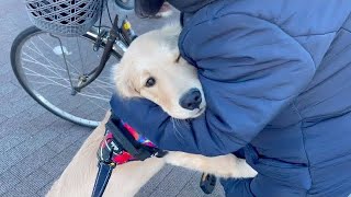 The expression of the Bisuke who is reluctant to say goodbye is completely human