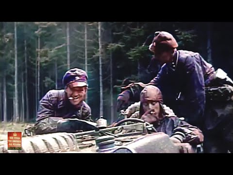 Kampfgruppe Peiper, German 1st SS Panzer Division​ ‘Leibstandarte Adolf Hitler’, Battle of the Bulge