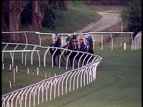 Galoppo 30/11/2019 - 4ª corsa