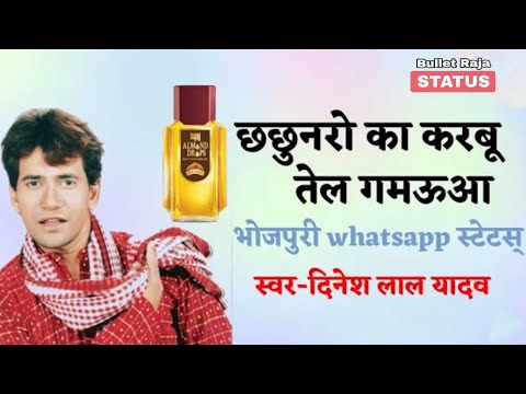 Tel Gamkaua || Nirahua  Bojhpuri whatsapp| Best Status | Nirahua Satal Rahe  Dinesh Lal Yadav status