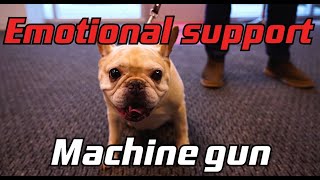 Emotional Support Machine Gun | This is Gunmag Warehouse