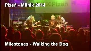 Milestones - Walking the Dog