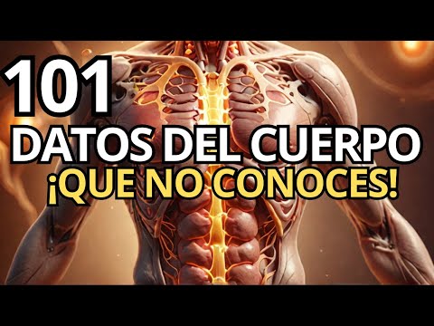 101 Things About Your Body You Don't Know