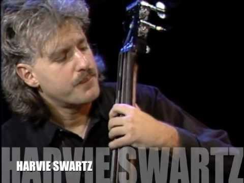 THE GUITAR SHOW with Harvie Swartz
