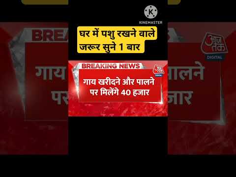 Breaking News: गौ पालकों को Yogi Govt का बड़ा तोहफा, 40 हजार की मदद देगी यूपी सरकार #shorts #news