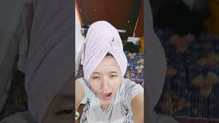 Download lagu #shorts janji gak gatel, kalok gatel janji lagi... mp3