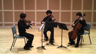 Mercure Trio plays Paul de Wailly Six Pieces - mvt.3 Idylle