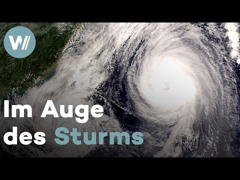 Der Weg des Taifuns - Wie können die tropischen Wirbelstürme besser vorhergesagt werden?