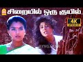 Siraiyil 4K Video Sad Song சிறையில் ஒரு குயில் பாட்டு 