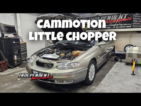 LS1 Cammotion Little chopper perfect street camshaft