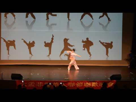 2017 CNY Gala - WuShu 1