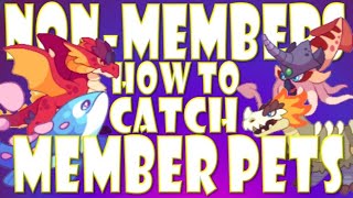 NON MEMBERS!!! How to Get MEMBER Pets in Prodigy Math!!!