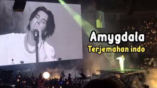 Download lagu [Live Konser] Suga - Amygdala | Terjemahan Indo mp3