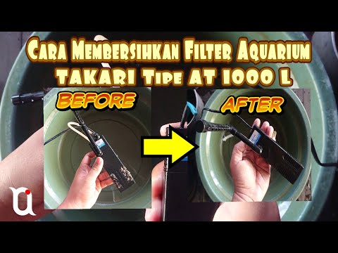 Cara membersihkan filter aquarium TAKARI tipe AT1000L