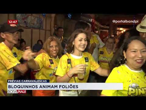 PRÉVIAS CARNAVALESCAS: Bloquinhos animam foliões