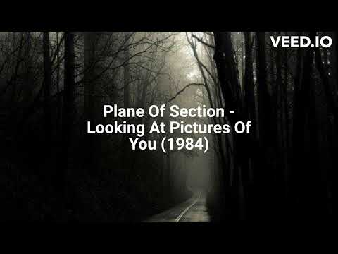 Plane Of Section - Looking At Pictures Of You (1984)