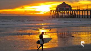 THE VENTURES Blue Hawaii